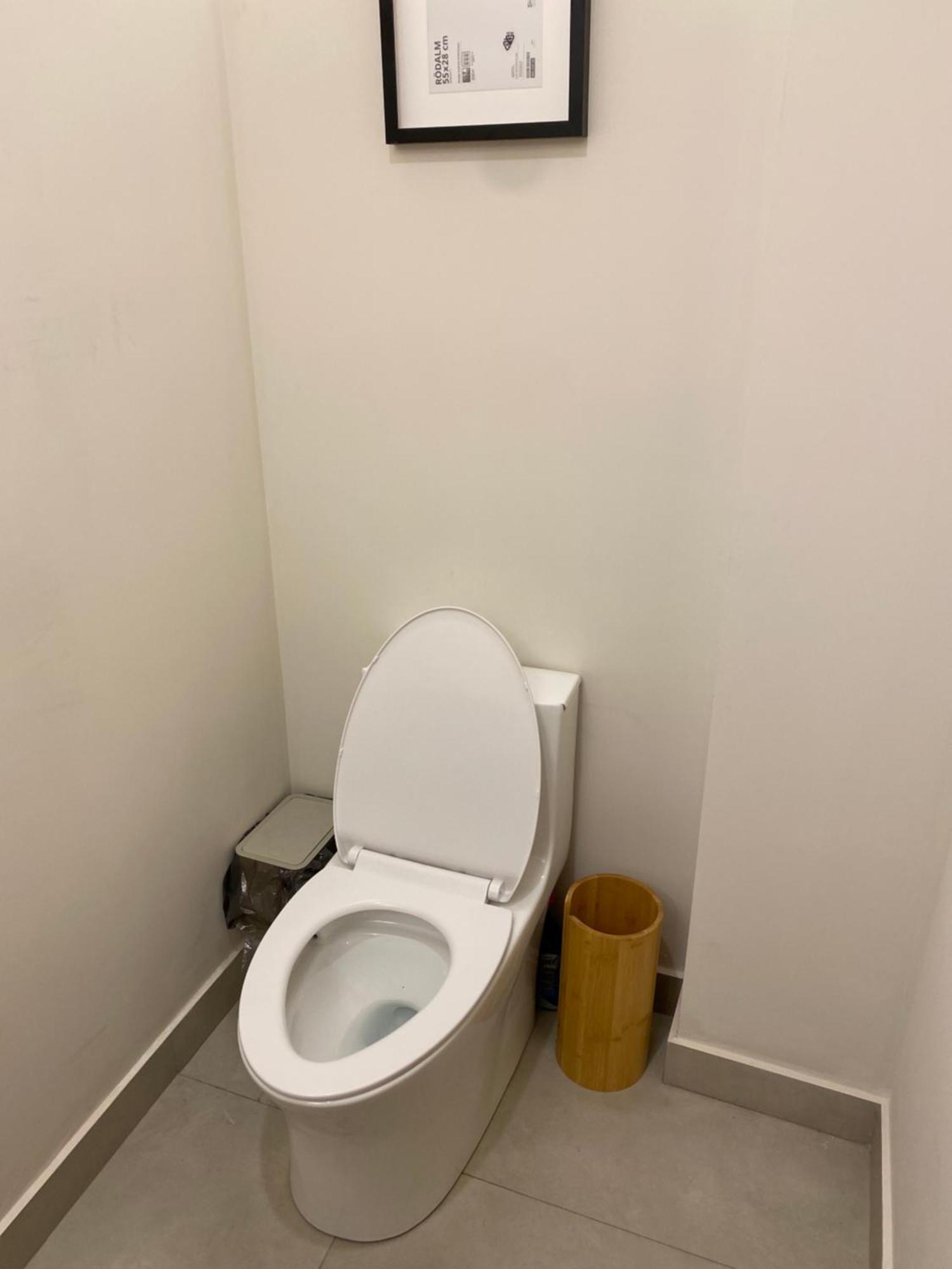 Departamento En La Roma Trendy Apartment Mexico City